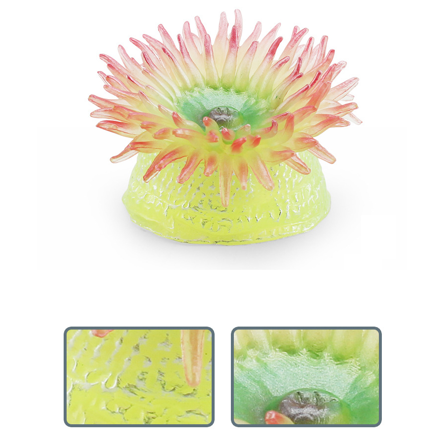 Realistic Coral Sea Anemones S - Kids Educational Device reseña y precio