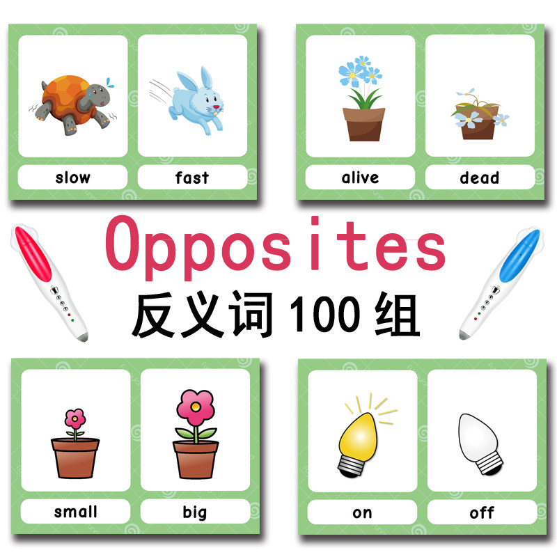The 100 Groups Opposites Flash - Kids Education Age reseña y precio