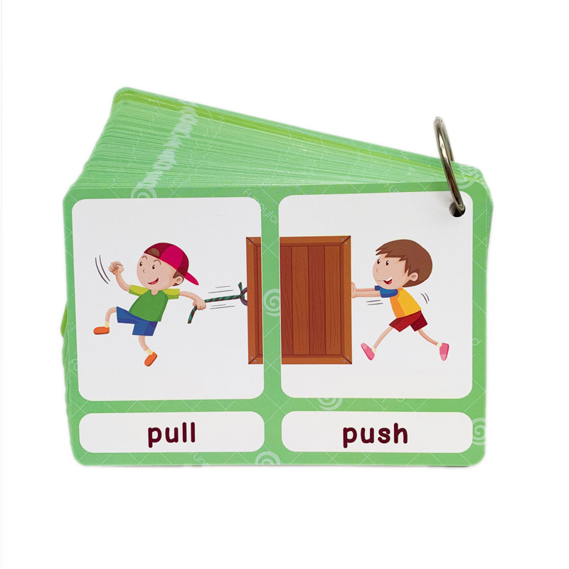 The 100 Groups Opposites Flash - Kids Education Age reseña y precio