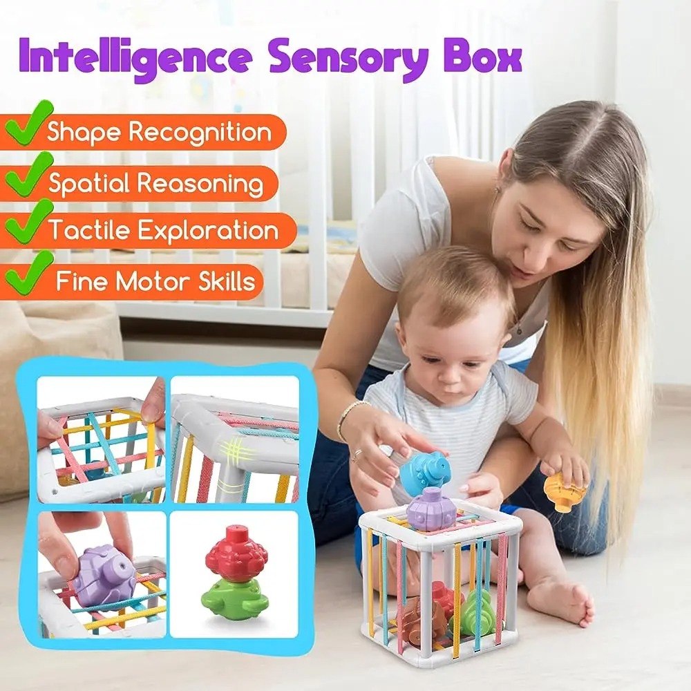 Rainbow Colorful Montessori Sh - Kids Educational Device reseña y precio