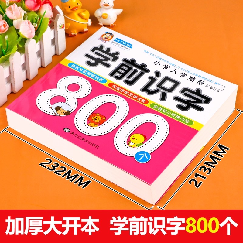 Preschool Literacy: 800 Chines - Kids Education Age reseña y precio