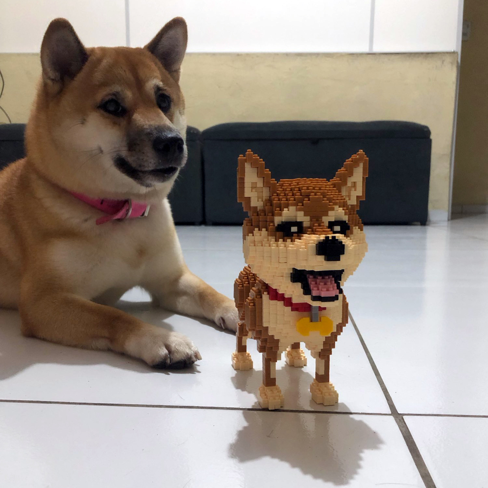 KNEW BUILT Shiba Inu Dogs Mode - Kids Education Recreation reseña y precio