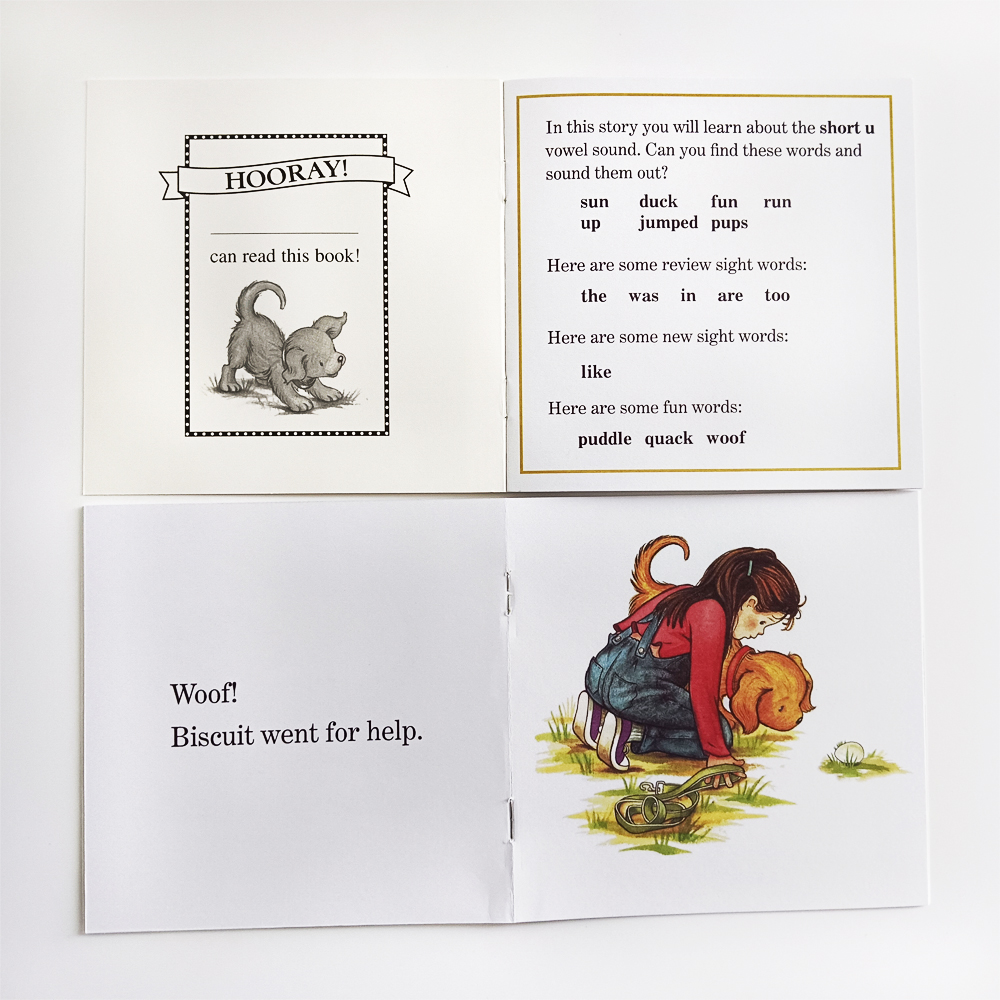Biscuit I Can Read Phonics Sto - Kids Education Age reseña y precio